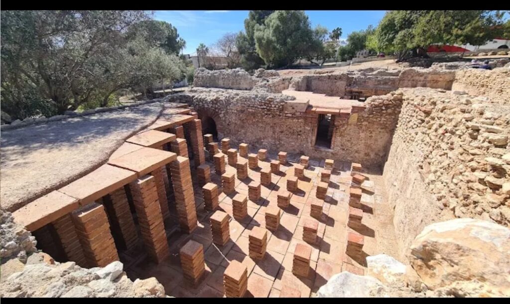 WhatsApp Image 2026-02-26 at 08.09.49